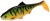 Gumeni Mamac Mikado MFT Roach Natural Perch