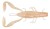 Gumeni Mamac Rage Critter 7cm