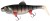 Gumeni Mamac Rage Giant Replicant Wobble 27cm UV Young Perch