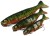 Gumeni Mamac Rage Loaded Jointed Pro Shad 23cm