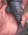 Gumeni Mamac Rage New Jointed Replicant Colours 23cm 150gr