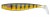 Gumeni Mamac Rage Pro Shad 14cm