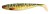 Gumeni Mamac Rage Pro Shad Natural Classics 10cm