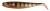Gumeni Mamac Rage Pro Shad Natural Classics SN 18cm