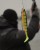 Gumeni Mamac Rage Pro Shad