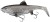 Gumeni Mamac Rage Replicant Shallow Legend Colours 18cm 65gr UV Silver Bait Fish