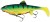 Gumeni Mamac Rage Replicant Shallow Legend Colours 23cm 125gr