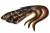 Gumeni Mamac Rage Slick Eel 21cm