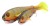 Gumeni Mamac Rage Super Slick Shad 18cm 7" Loaded