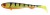 Gumeni Mamac Rage Super Slick Shad 28cm
