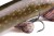 Gumeni Mamac Rage Ultra-Realistic Pike Replicant