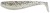 Gumeni Mamac Rage Zander Pro Shad 10cm