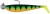 Gumeni Mamac Rage Zander Pro Shad 12cm UV Firetiger 4/0 50gr