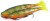 Gumeni Mamac Rage Zander Pro Shad 16cm 6.3" Loaded