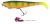 Gumeni Mamac Rage Zander Pro Shad 16cm 6.3" Loaded