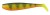 Gumeni Mamac Rage Zander pro Shad 16cm Natural Perch