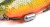 Gumeni Mamac Rage Zander Pro Shad 18cm 7" Loaded