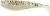 Gumeni Mamac Rage Zander Pro Shad 7,5cm