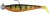 Gumeni Mamac Rage Zander Pro Shad Loaded