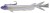Gumeni Mamac s Udicom Daiwa Prorex V-Marley Pelagic Shad White Ghost