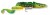 Gumeni Mamac Savage Gear 3D Burbot 25cm 70gr