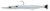 Gumeni Mamac Savage Gear 3D Needlefish Pulsetail 18cm 26gr Pearl White Silver