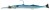 Gumeni Mamac Savage Gear 3D Needlefish Pulsetail 30cm 105gr