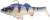 Gumeni mamac Savage Gear 3D Perch RTF 17,5cm 96gr Blue Perch
