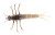 Gumeni Mamac Savage Gear 3D TPE Mayfly Nymph 5cm 2,5gr