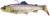Gumeni Mamac Savage Gear 3D Trout Shad 12,5cm 35g Clear Blue Trout