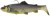 Gumeni Mamac Savage Gear 3D Trout Shad