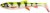 Gumeni Mamac Savage Gear 3D Whitefish Shad 20cm 62gr Lemon Tiger