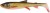 Gumeni Mamac Savage Gear 3D Whitefish Shad 27cm 152gr Dirty Roach
