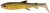 Gumeni Mamac Savage Gear 3D Whitefish Shad 9cm 7g