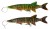 Gumeni Mamac Savage Gear 4D Line Thru Pike 25cm 110gr