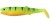Gumeni Mamac Savage Gear LB Cannibal 6,8cm 3gr