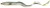 Gumeni mamac Savage Gear Real Eel 40cm 147gr Chameleon Eel