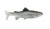 Gumeni Mamac Uni Cat Trout 15cm BG