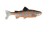 Gumeni Mamac Uni Cat Trout 15cm BOT
