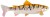 Gumeni Mamac Uni Cat Trout 15cm OT