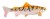 Gumeni Mamac Uni Cat Trout 20cm 105gr OT