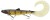 Gumeni Mamac Westin BullTeez Curltail Inline 33cm 230gr