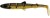 Gumeni Mamac Westin BullTeez Shadtail 18cm 53gr Cola Perch