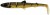 Gumeni Mamac Westin BullTeez Shadtail 18cm 53gr