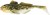 Gumeni Mamac Westin Gunnar The Goby 10cm 12,8gr