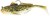 Gumeni Mamac Westin Gunnar The Goby R2F Sinking 8cm #1/0 9gr Black Mouth