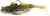 Gumeni Mamac Westin Gunnar The Goby R2F Sinking