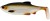 Gumeni Mamac Westin Ricky The Roach 14cm 42gr