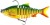 Gumeni Mamac Westin Ricky The Roach Multi Jointed R2F