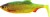 Gumeni Mamac Westin Ricky The Roach Shadtail 14cm 42gr